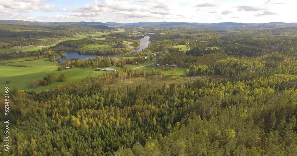 green and yellow autumn forest in on the countryside from above