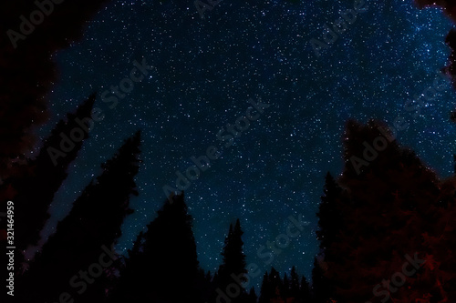 Blue night sky with trees silhoettes. Colorful night sky background. Dark background. Night scene. Space background.