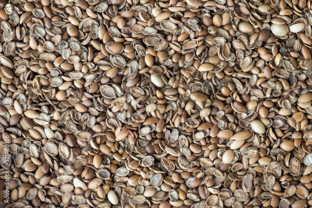 Nutshells using as biofuel. Biofuel component. Biomass energy. Nutshells using as biofuel. Biofuel component. Biomass energy.