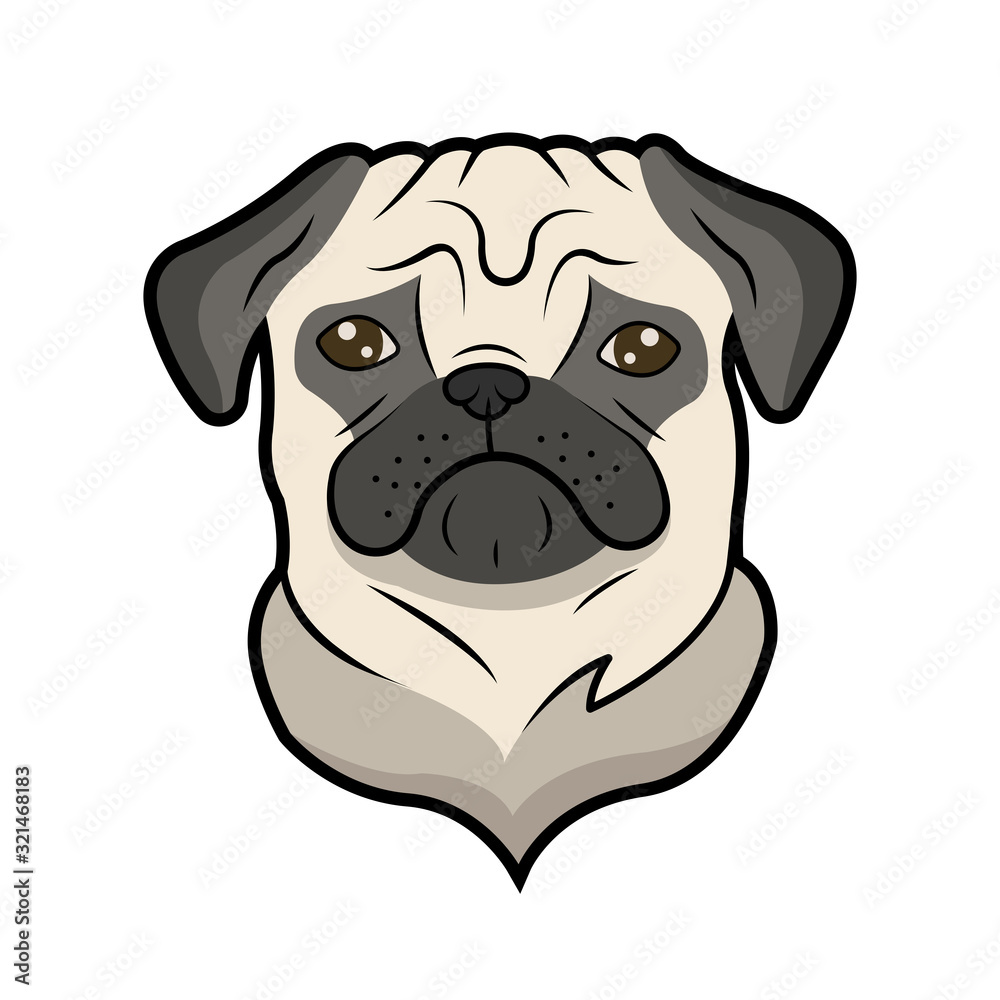 Vector illustration of pug. Vector illustration of pug.