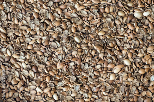 Nutshells using as biofuel. Biofuel component. Biomass energy.