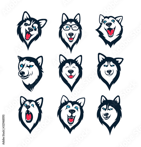Set of Siberian Husky stickers. Dog in different emotions. Illustrations for prints, logos, websites, and apps.