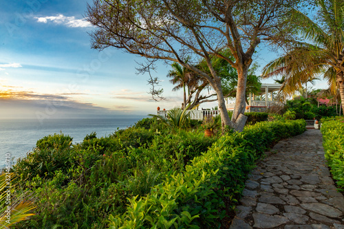 A beautiful tropical garden with a path and palm trees, ocean view, copy space, Samana, Dominican Republic photo