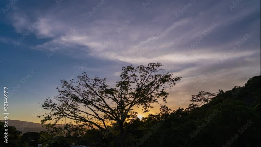 Time lapse of Colorful sunset behind a tree Time lapse of Colorful sunset behind a tree