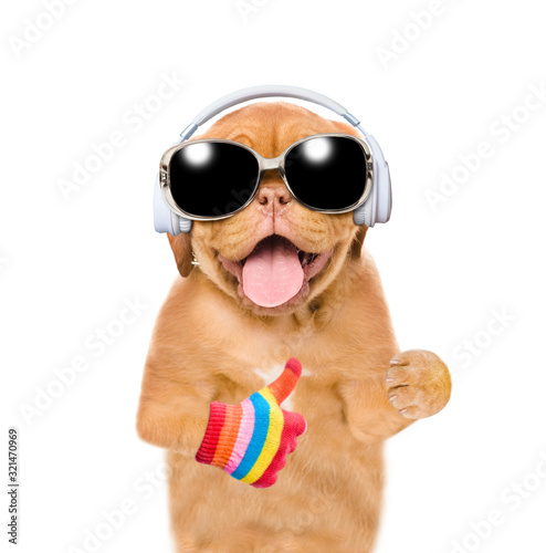 Funny puppy wearing a sunglasses listens music with headphones and shows thumbs up gesture. Isolated on white background © Ermolaev Alexandr