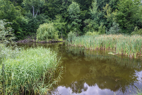 Small pond on a meadow near Magura village in Buzau County of Romania