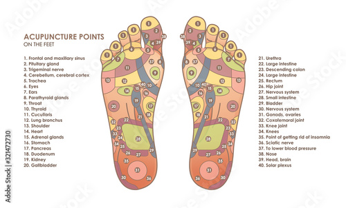 Acupuncture points on the feet. Reflex zones on the feet. Chinese medicine. Vector illustration