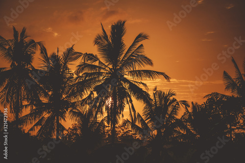 Tropical sunrise