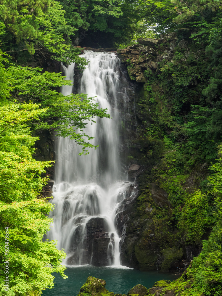 Fototapeta premium nasonoshirataki falls 奈曽の白滝
