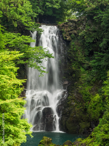 nasonoshirataki falls 奈曽の白滝