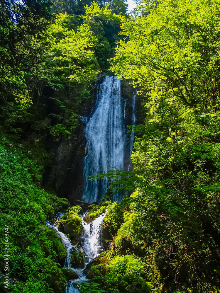 mikaerinotaki falls　回顧の滝
