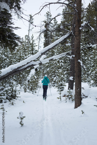 woman cross country skiing in snowy forest