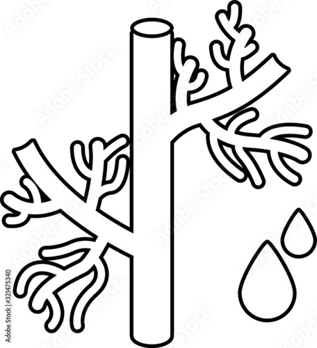 blood vessel icon, vector illustration
