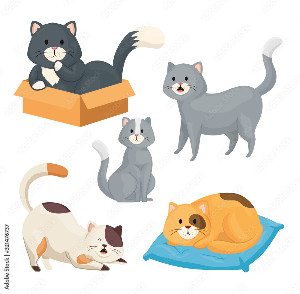 group of little cats animals group of little cats animals