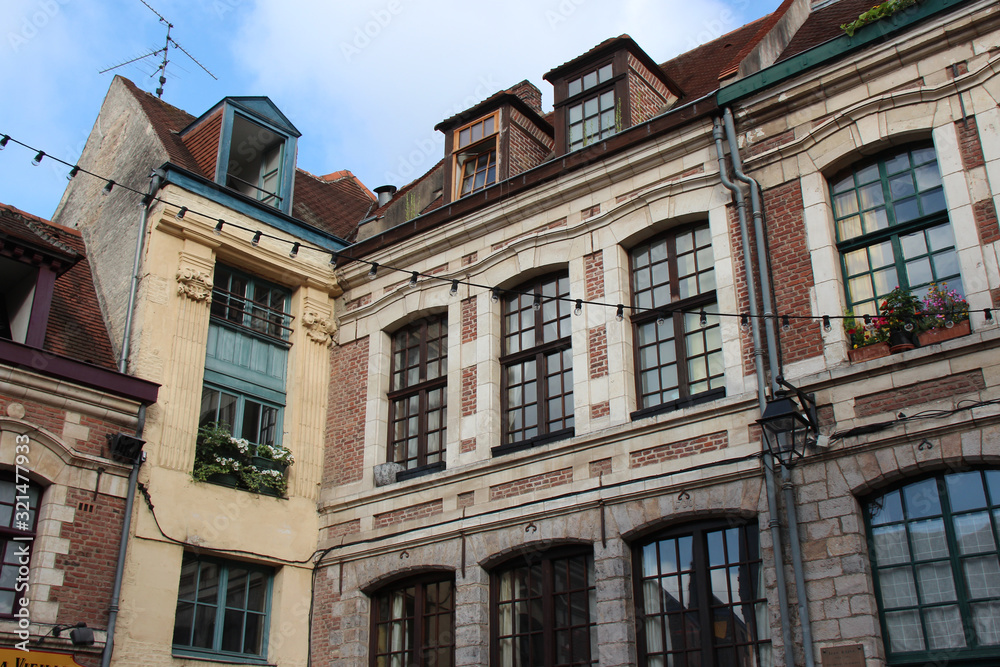 flat building and houses in lille (france)