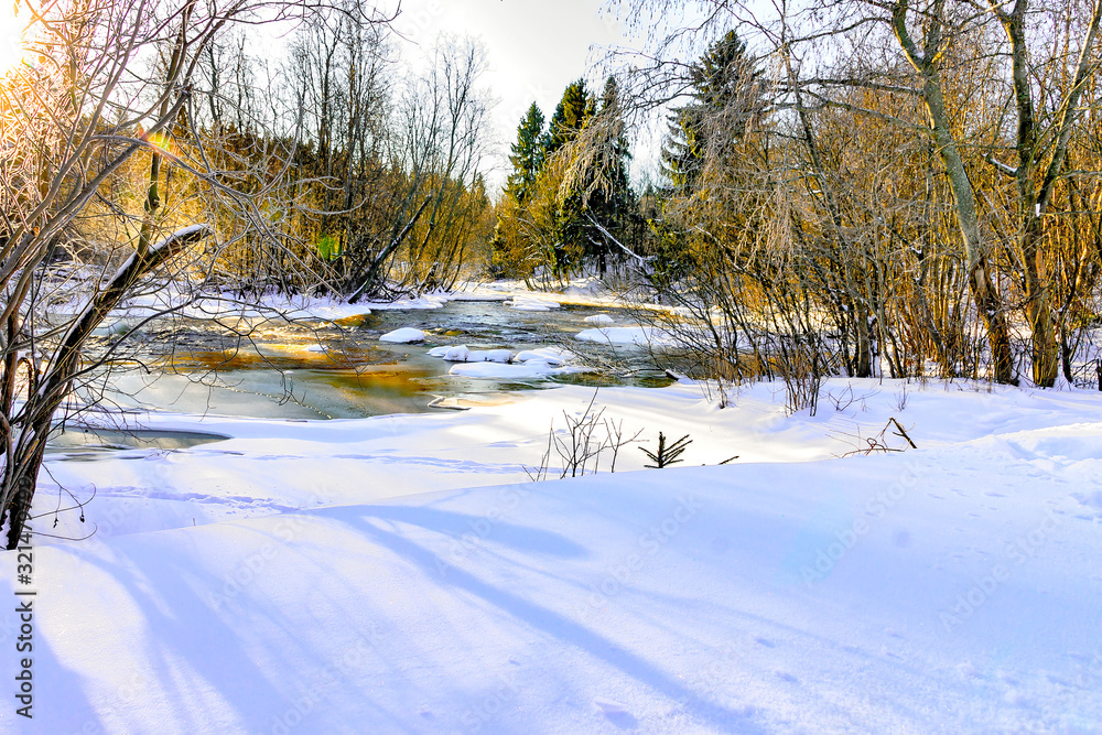 Winter morning landscape with diverse vegetation and fresh fluffy snow Winter morning landscape with diverse vegetation and fresh fluffy snow