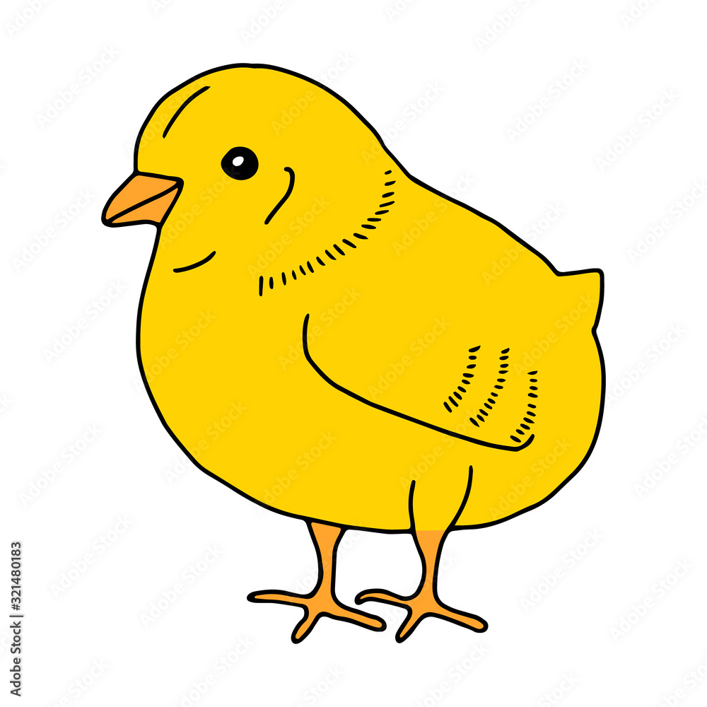Chicken yellow hand drawn line drawing. Contour drawing.Scrawl.Drawing for the Easter holiday. Little chicken.Bird house.Vector Chicken yellow hand drawn line drawing. Contour drawing.Scrawl.Drawing for the Easter holiday. Little chicken.Bird house.Vector