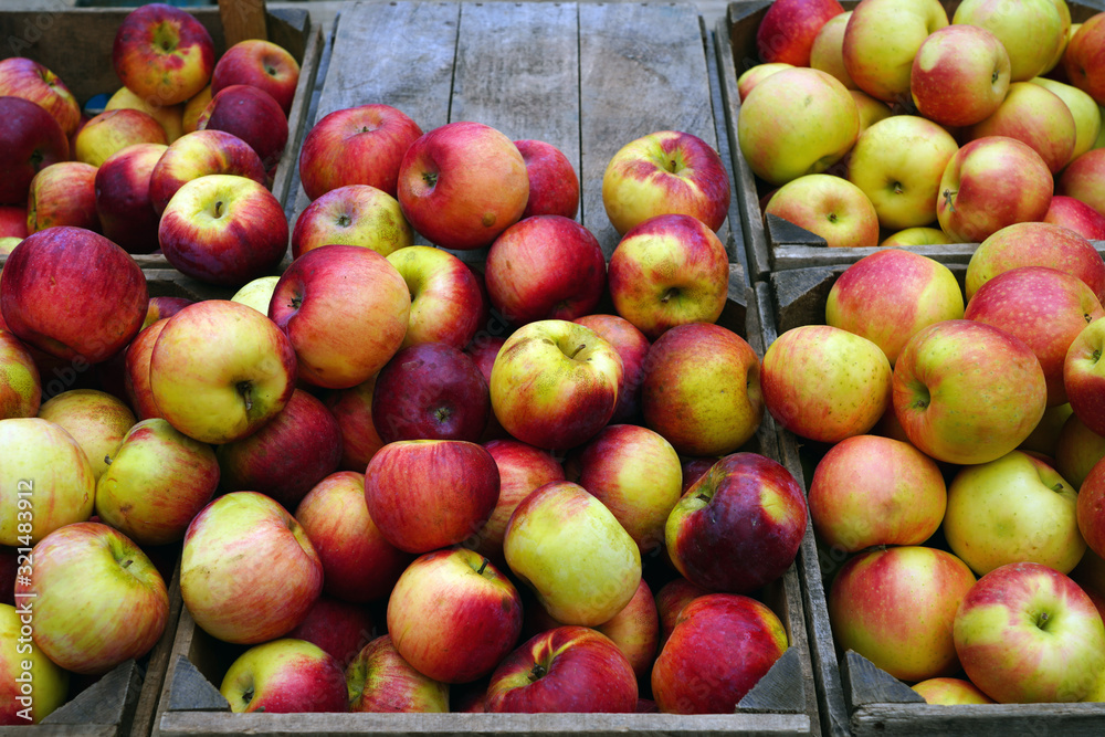 Fresh red and yellow apples at a farmers market in the fall Fresh red and yellow apples at a farmers market in the fall