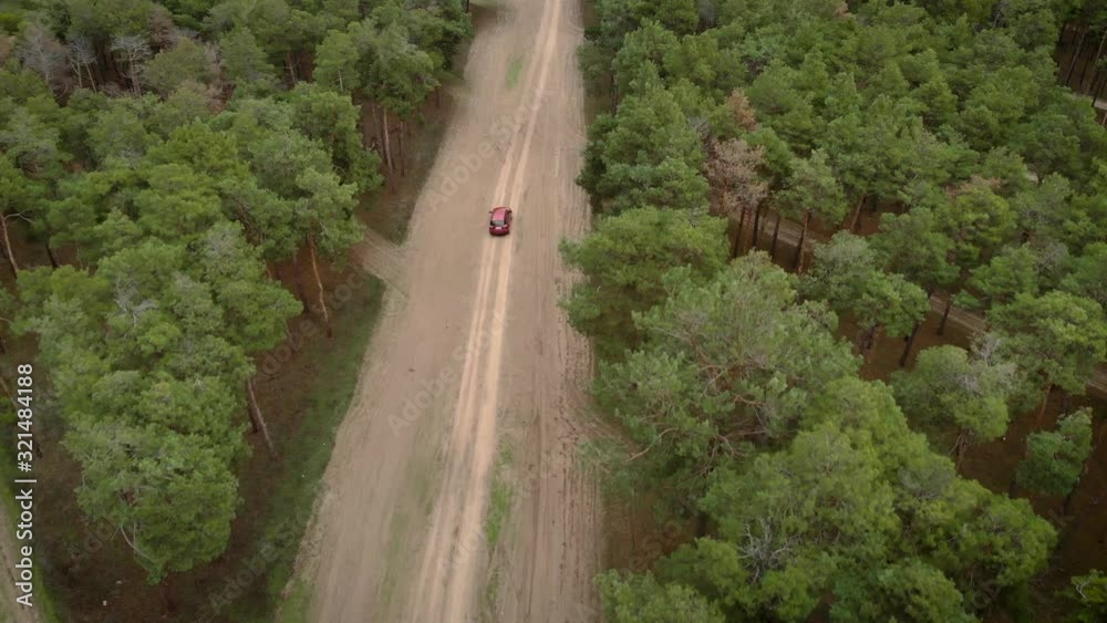 Top view copter follows red car driving along road in beautiful autumn forest for travel and adventure concept. Cinematic drone shot video of flight over gravel sandy road in pine forest