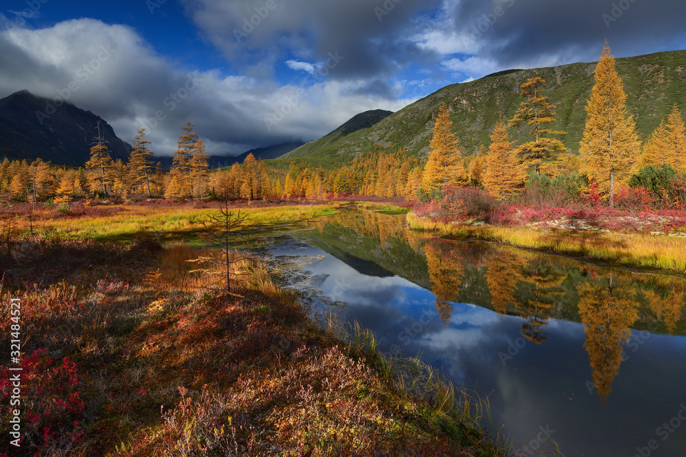 Golden autumn by a stream in the mountains, Kolyma, Magadan region, Russia