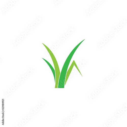 Grass logo vector