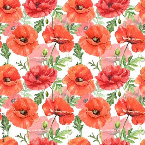 Watercolor poppy flowers botanical seamless pattern. hand painted red poppies...