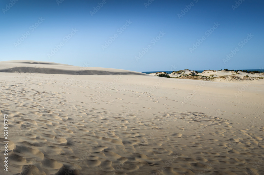 Dunes at Słowiński National Park/Łeba/Poland