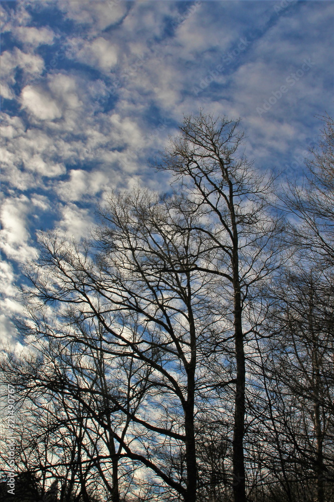 Silhouettes dans le ciel. Silhouettes dans le ciel.
