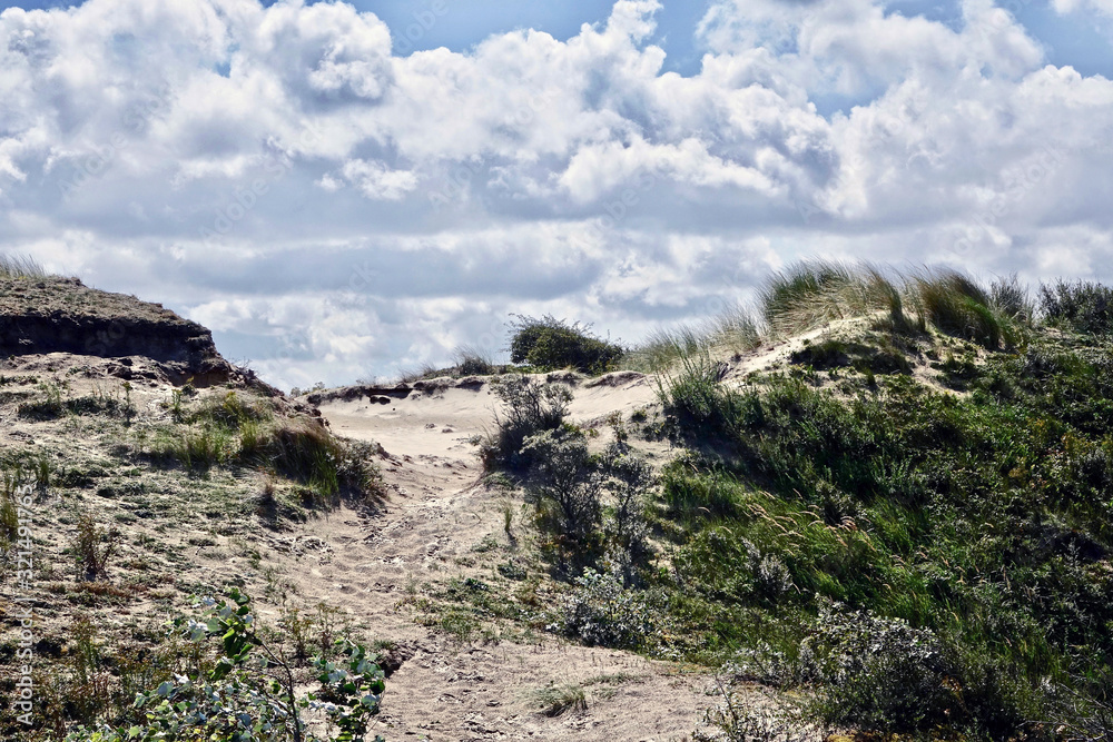 Netherlands. Landscape of the dunes in Zuid-Holland