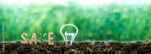 text Save with the light bulb with the energy illuminated on the ground completely. for renewable, sustainable development over blurred background. environment concept.Ecology .Energy saving concept photo