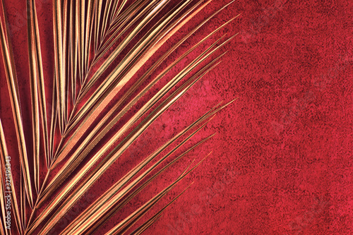 Closeup of golden palm leaf on abstract bright red textured background. Tropical conceptual luxury elegant trendy art deco summer background. Flat lay. Open composition, copy space.