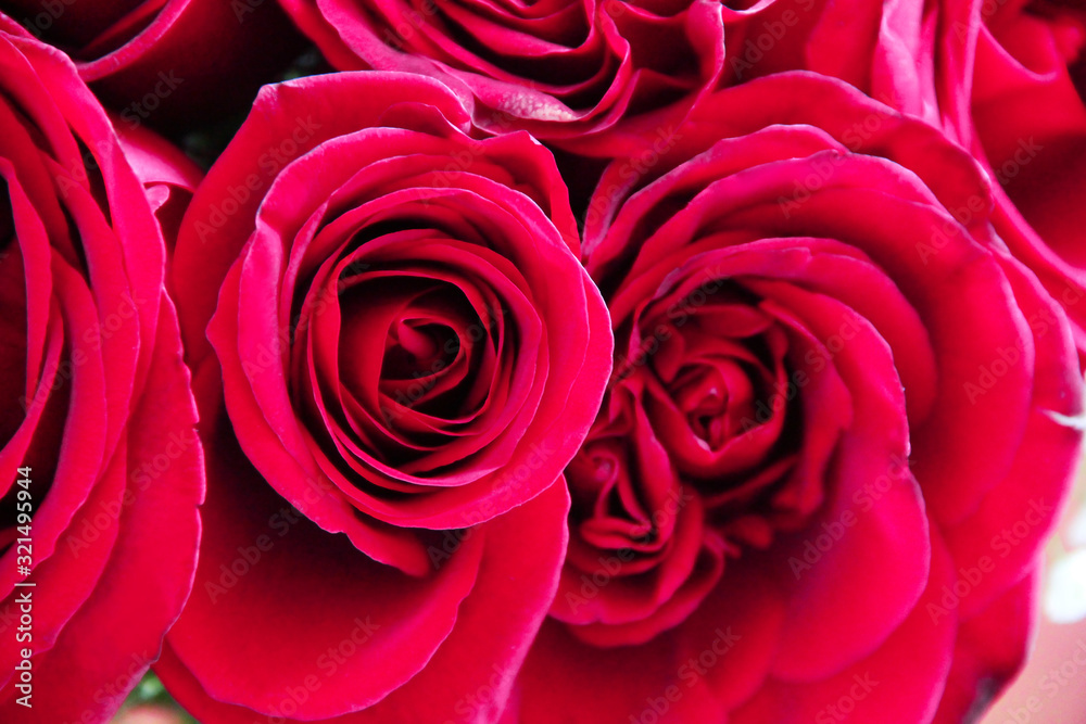 Bouquet of natural beautiful red roses flowers for Valentine's Day and March 8 Bouquet of natural beautiful red roses flowers for Valentine's Day and March 8