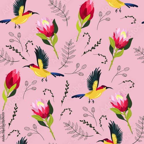 Vector colorful seamless pattern with protea flowers and colibri birds.