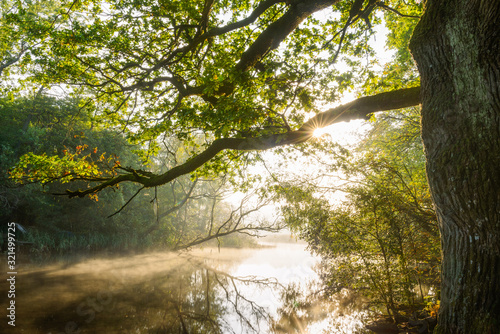 Fototapeta Naklejka Na Ścianę i Meble -  Sunlight peeking through the trees lining a tranquil river