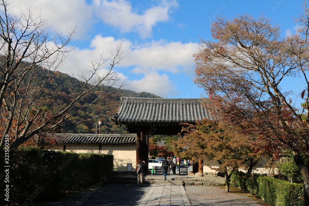 Fototapeta premium Kyoto, Japan