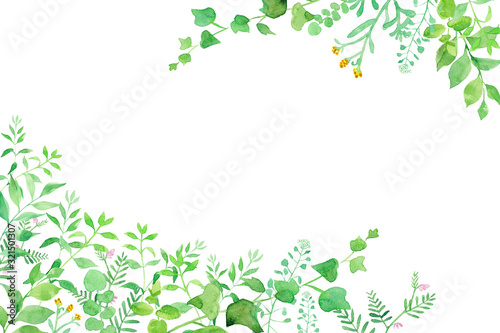 グリーンの草花の２隅装飾フレーム。水彩イラスト。