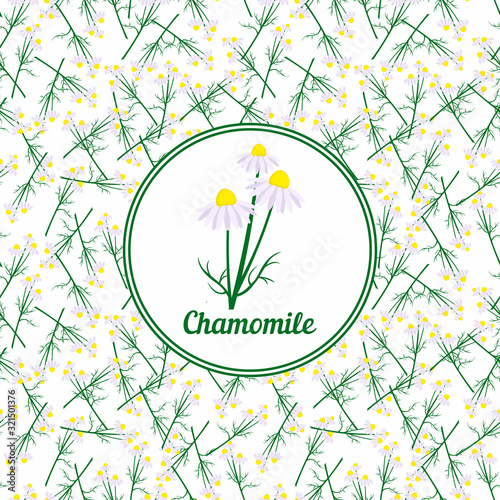 Template for packaging medicinal chamomile.