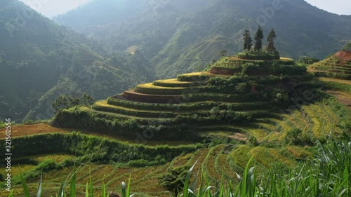 Rice field on Terraces on mountains beautiful shape in nature, North of Vietnam..