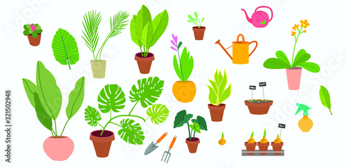Collection of decorative houseplants isolated on white background. gardening tools - watering can, seeds, pruner, trowel, gloves, seedlings, potted plants. Flat colorful vector illustration.