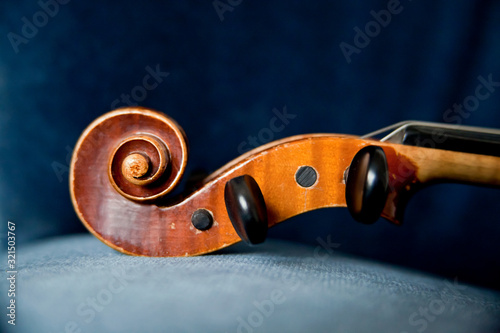Violinschnecke