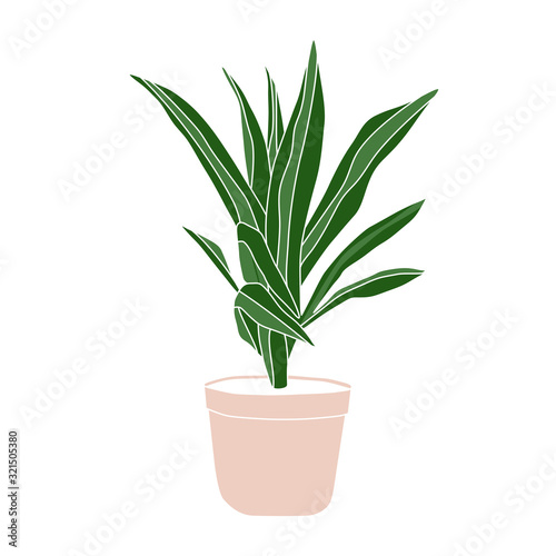 Green floral house plants illustration and lettring. Outline home flowers in pots in line art anf flat style isolated on white background for greetig card, invintation print t-shirt