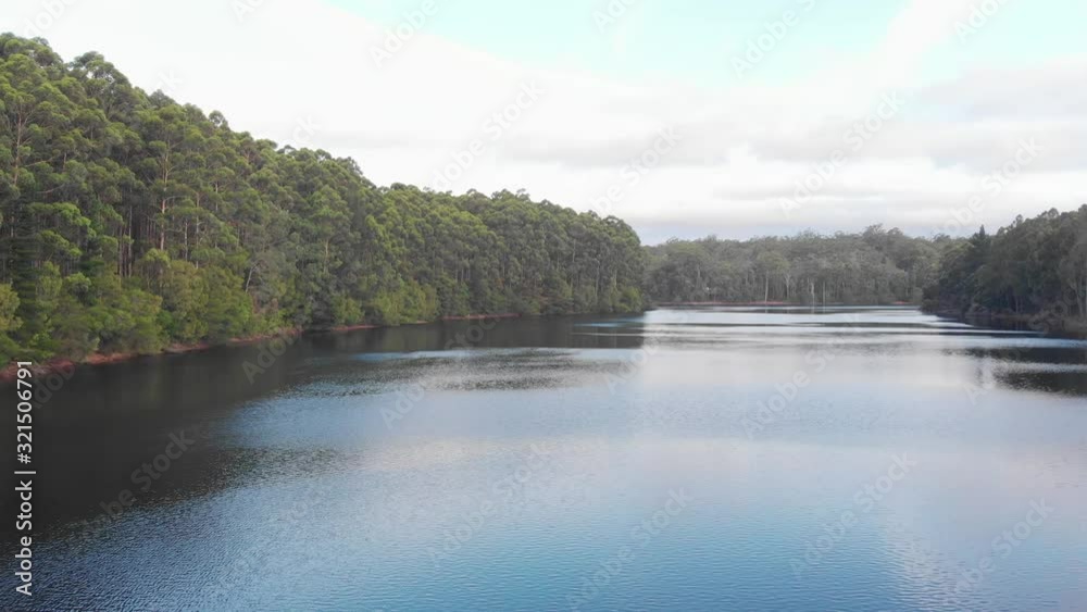 Lake surrounded by Australian eucalyptus trees. Low aerial slide Lake surrounded by Australian eucalyptus trees. Low aerial slide
