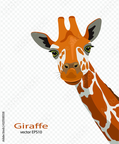 Cute giraffes on a transparent background. Wildlife, Zoology, Safari. Flat design. Vector illustration. 