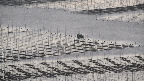 Farm at sea in Xiapu, It's largest area for growth seaweed at sea surface, Lockdown.