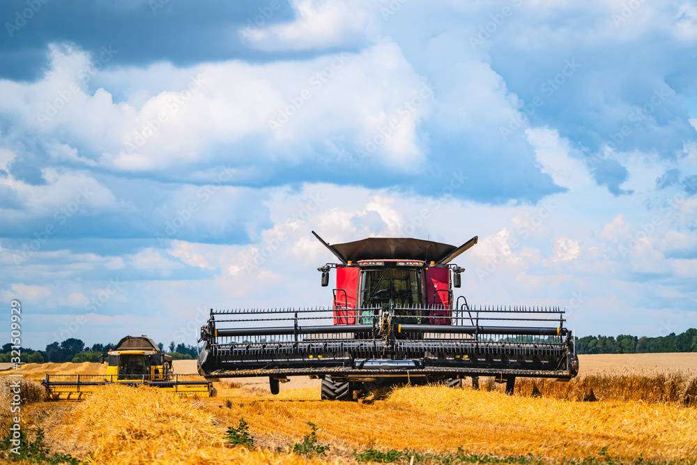 Obraz premium Combine harvester harvest ripe wheat on a farm. Wheat field against a blue sky