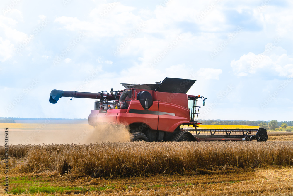 Fototapeta premium combine harvester working on a wheat field