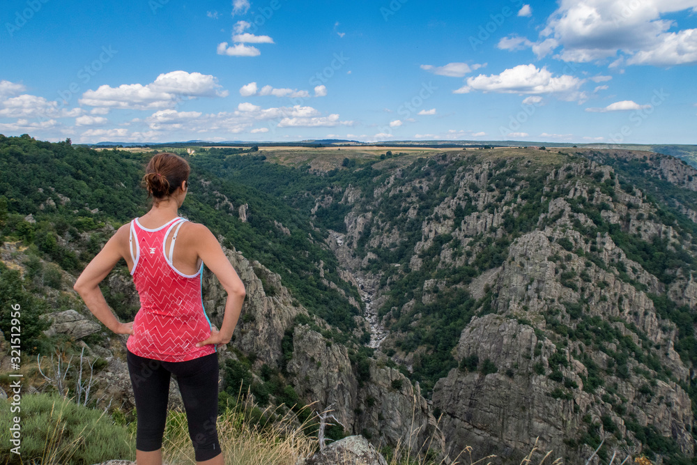 Naklejka premium View