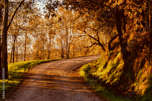 Fototapeta Naklejka Na Ścianę i Meble -  road in the woods with autumn colors in Tuscany