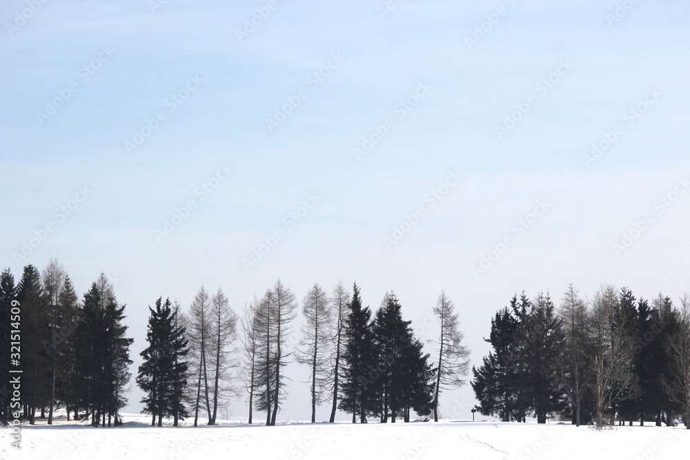 Paesaggio invernale con alberi in lontananza Paesaggio invernale con alberi in lontananza