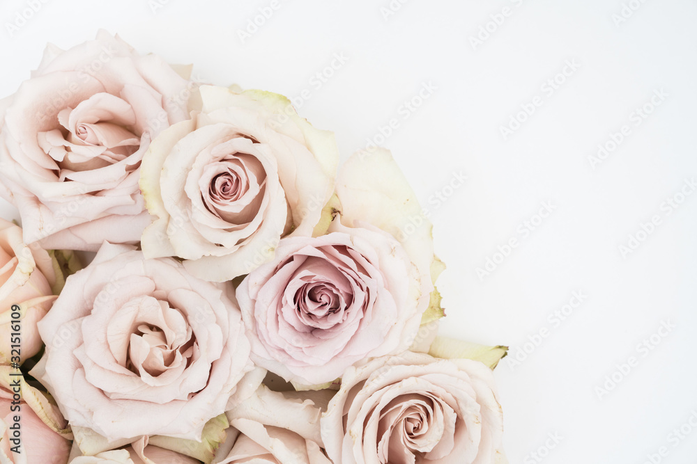 Mocha roses floral flat lay on white background